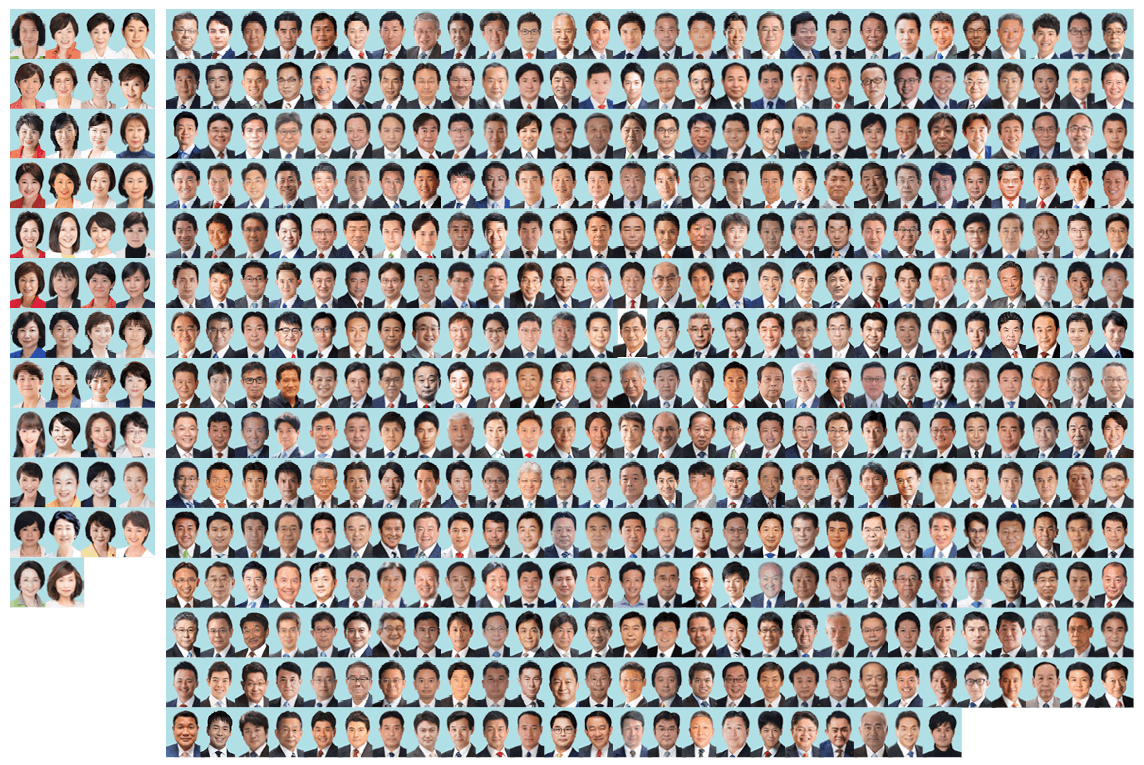 Profile pictures of the Lower House Members